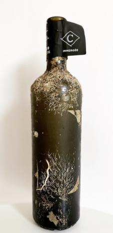 Visuel bouteille de vin Domaine La Courtade - Vins Immergés blanc